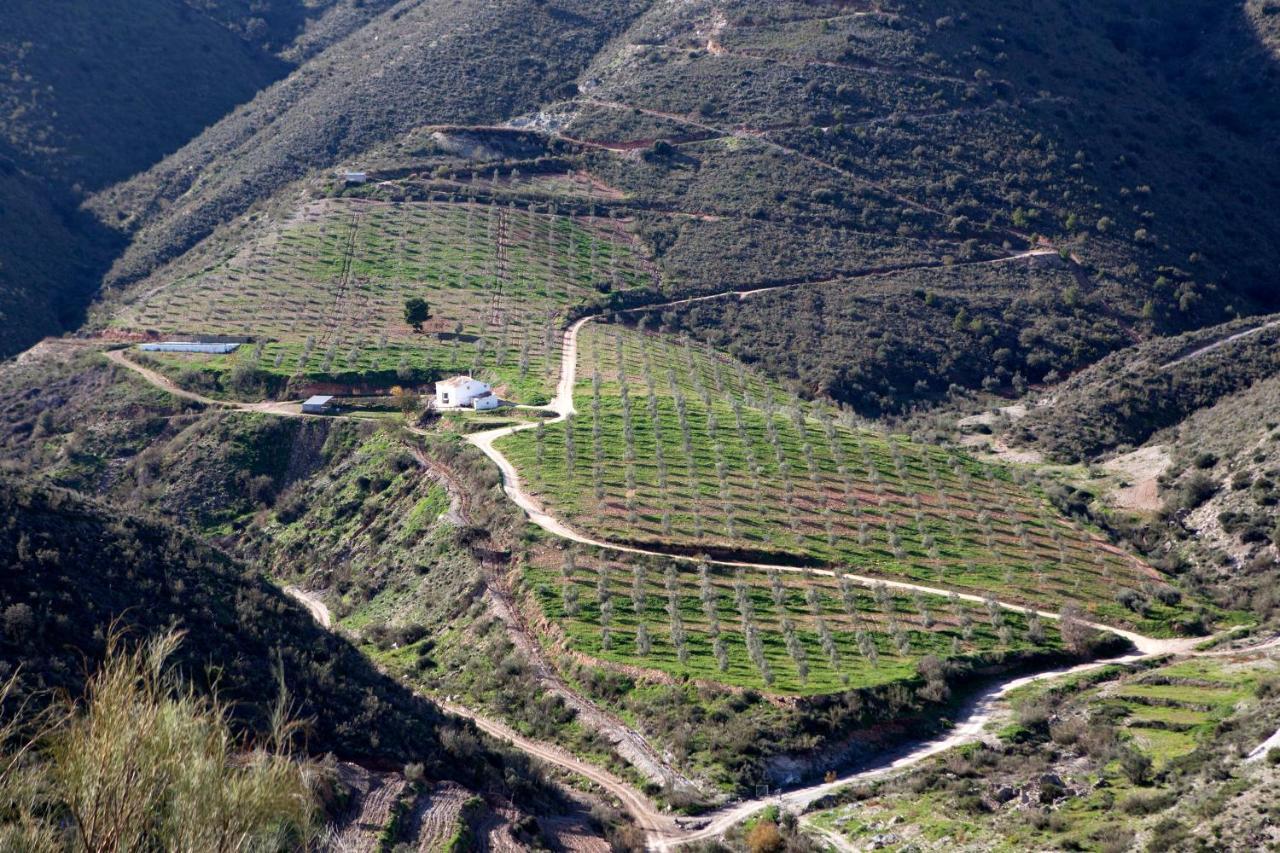 Cortijo El Rancho Villa Albanchez Exterior photo