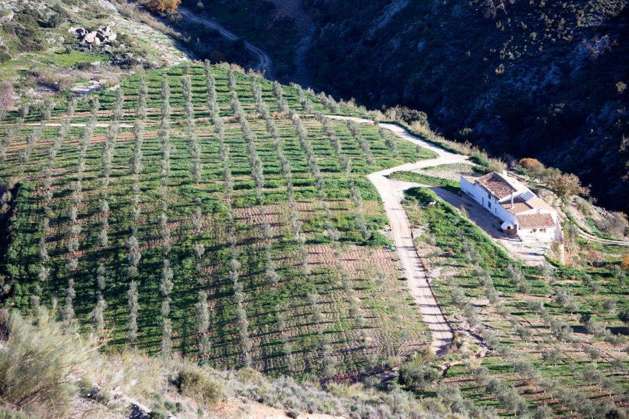 Cortijo El Rancho Villa Albanchez Exterior photo